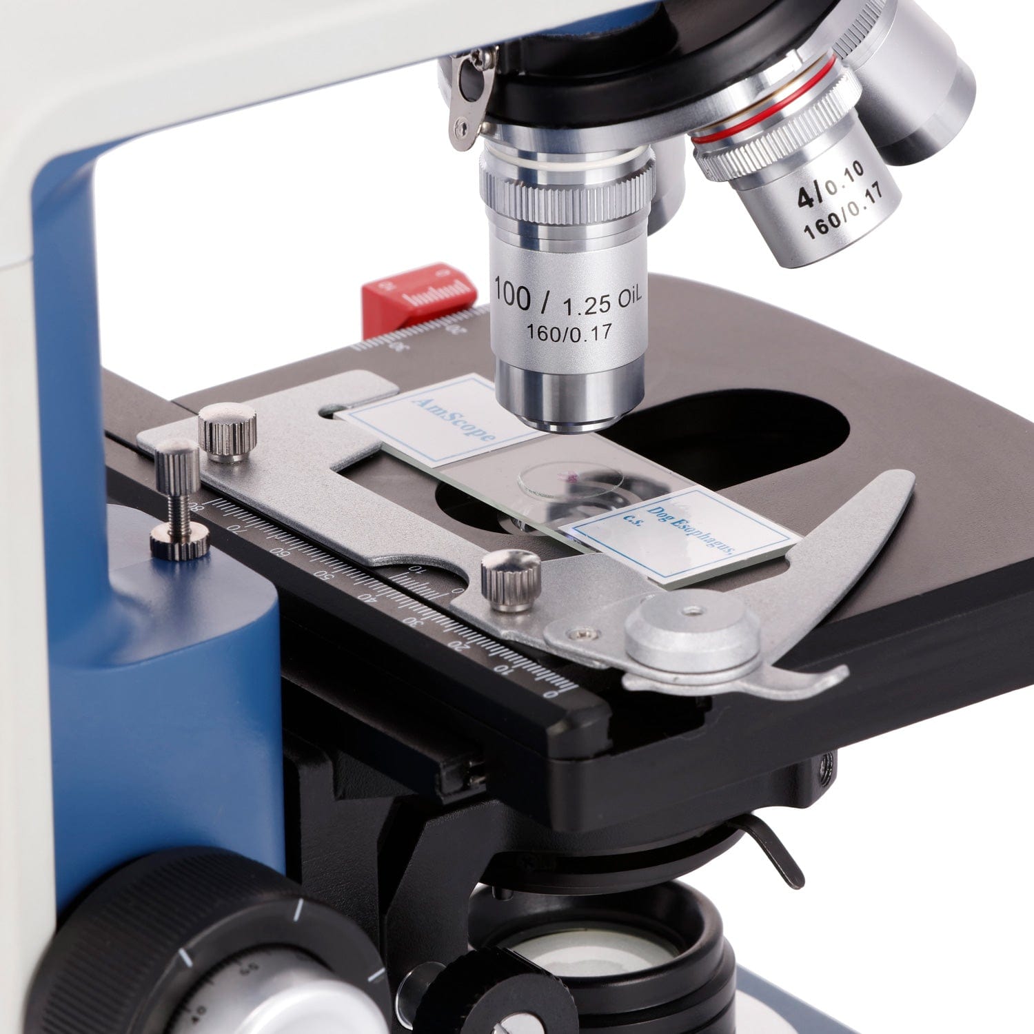 Microscope Compound 40X - Бинокулярный составной микроскоп AmScope с увеличением