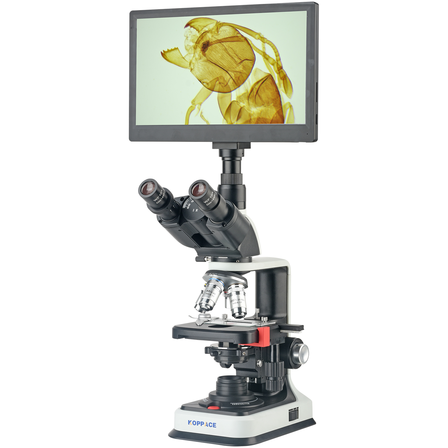 Электронный лабораторный микро – обзор и цена Microscope Compound 40X