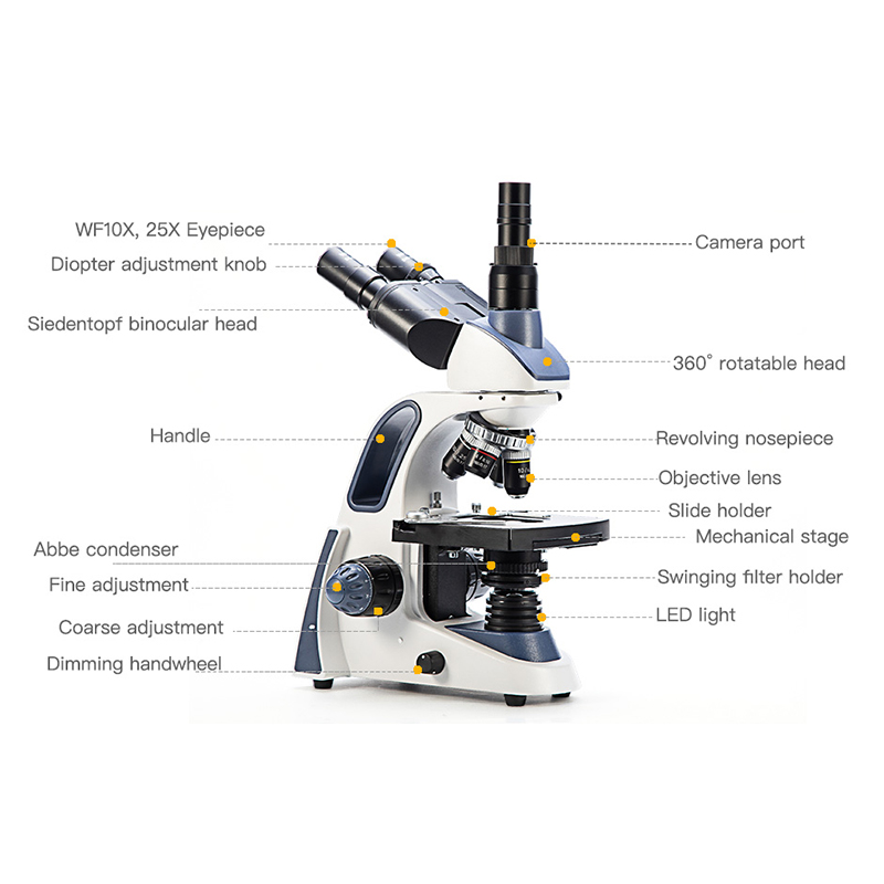 Микроскоп тринокулярный SWIFT  – обзор и цена Microscope Compound 40X