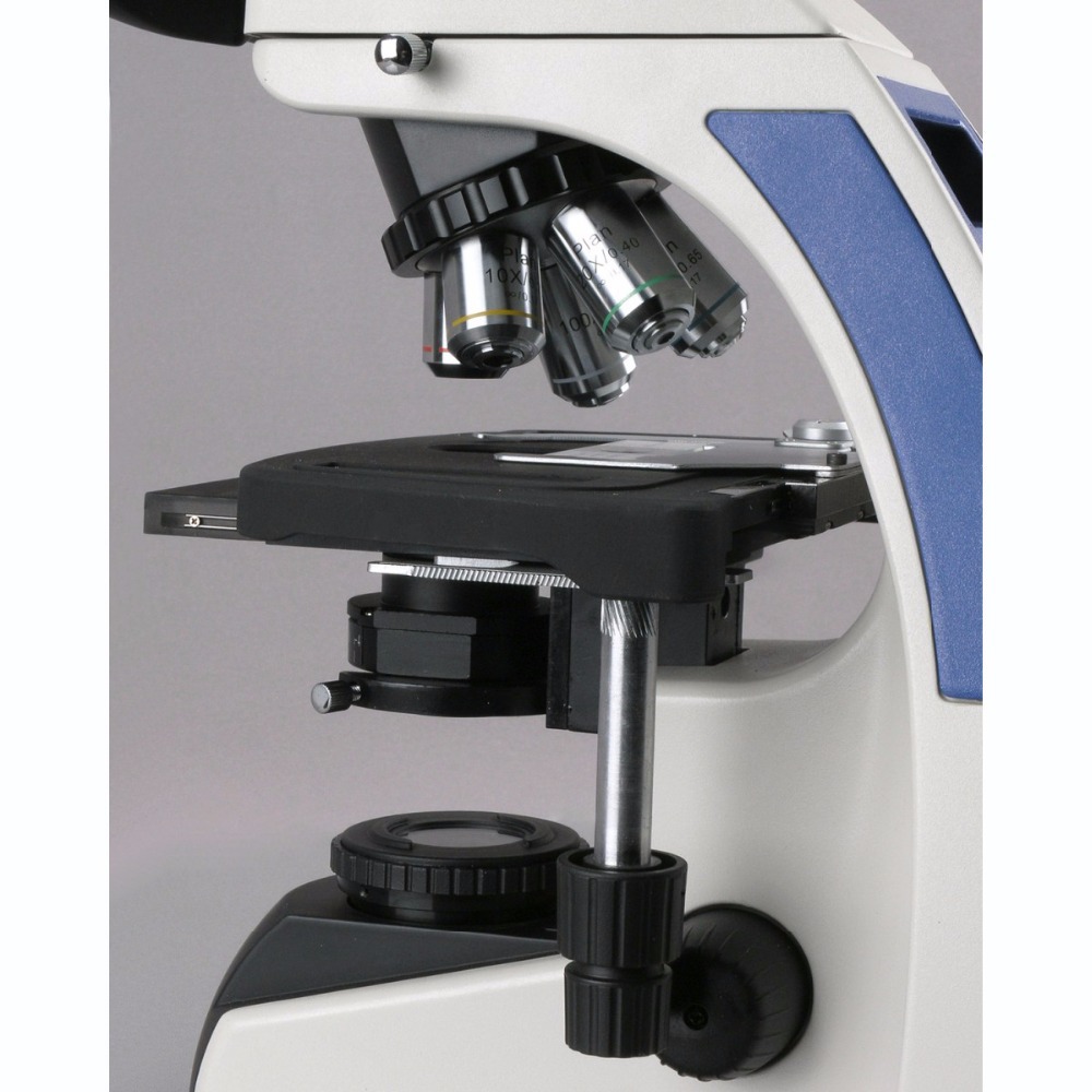 Тринокулярный компаундный микр – обзор и цена Microscope Compound 40X