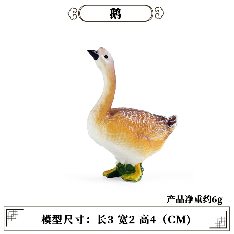 Образовательный обучающий инст – обзор и цена Science Toys